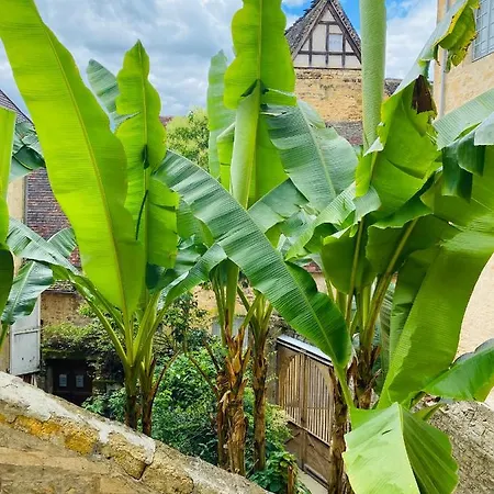 Sarlat.catalina サルラ・ラ・カネダ