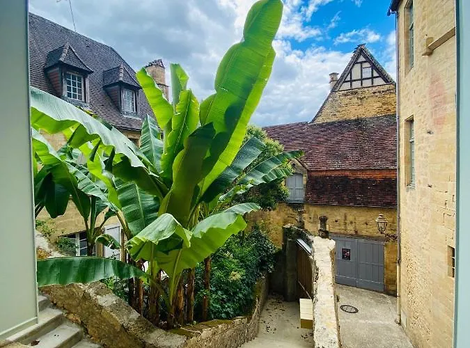 Sarlat.catalina