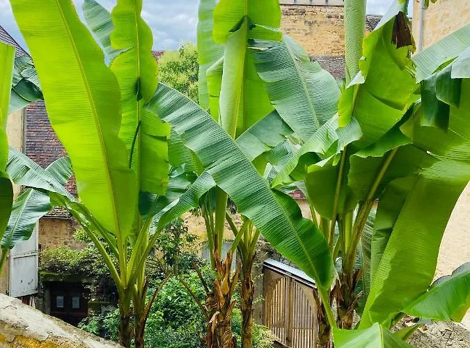 Sarlat.catalina 사흘라 라 카네다